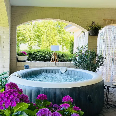 Daire Monferrato Basin Damor Asti