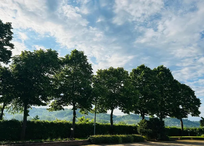 Monferrato Basin Damor 阿斯蒂