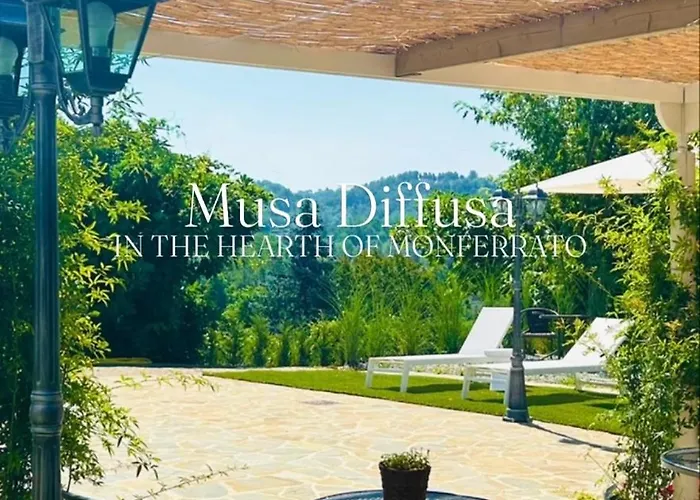 Monferrato Basin Damor Asti
